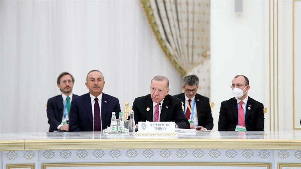 أردوغان يدعو إلى تقييم موضوعي لرؤية قبرص التركية بشأن الحل